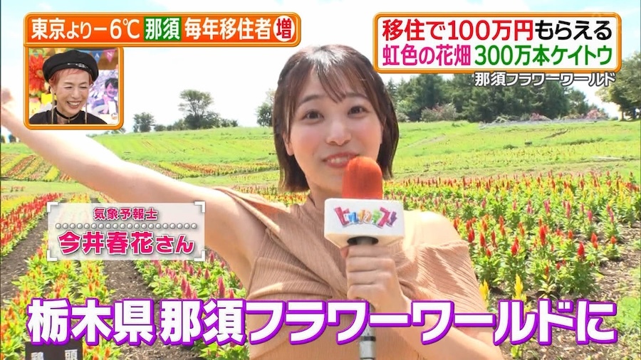 今井春花 脇画像
